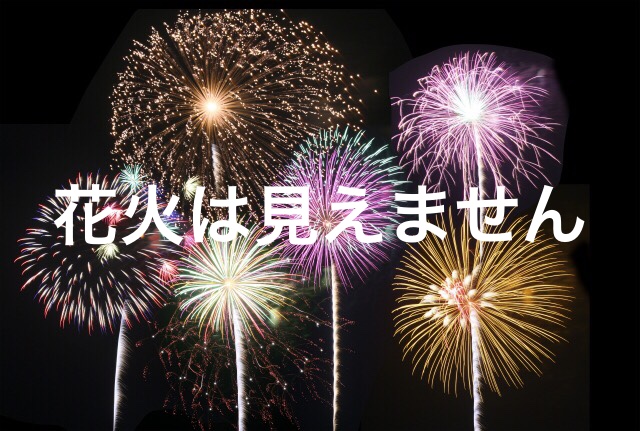 アレ コレ 花火が見えないホテル 隅田川花火大会16
