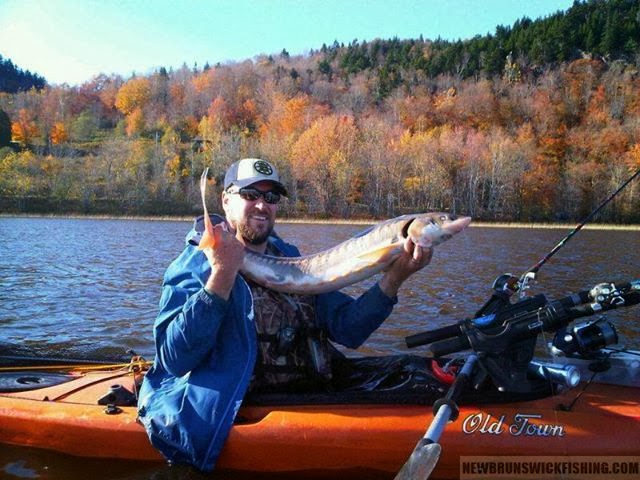 NB Kayak Fishing: How to fish for Shortnose Sturgeon in New Brunswick