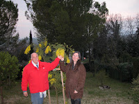 Risultati immagini per caterina e paolo a spilamberto nel parco rangoni