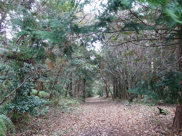 むきばんだ史跡公園　弥生の森遊歩道