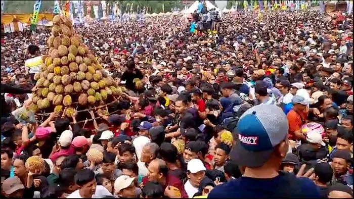 puluhan orang pingsan berebut durian