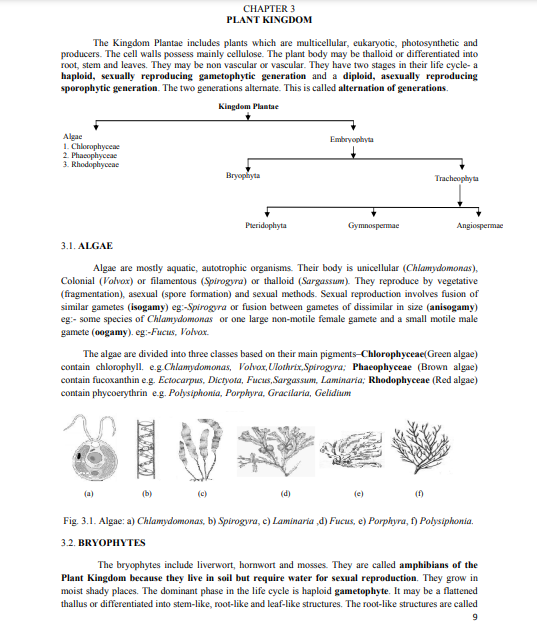 Plant Kingdom NCERT PDF Download