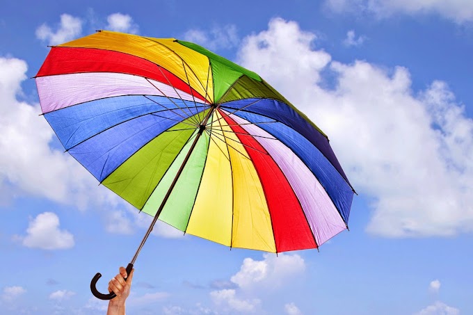 5  Insurance Covers That Anyone Must Have..!