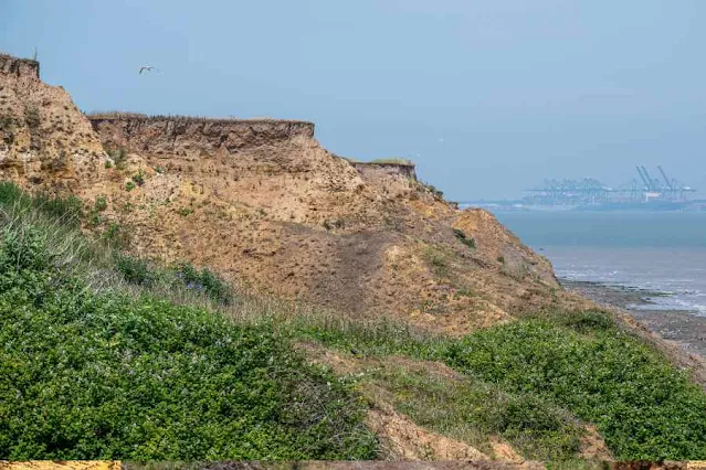 A crumbling cliff at The Naze Essex (Canva Pro image)