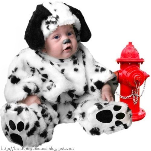 Funny baby dressed  dalmatian.