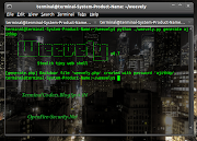 terminal@terminal:~/weavely$ python . (screenshot gen)