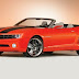 Chevrolet Muscle Cars 365 2008 Camaro