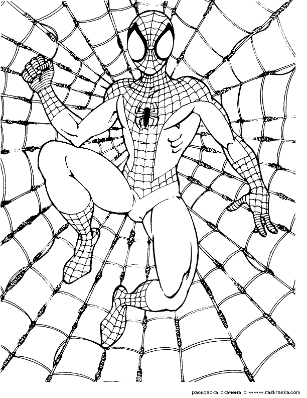 The Amazing Spider Man Coloring Pages: Spiderman Color ...