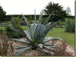 DSCF0089