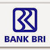 Info Lowongan Kerja PPS dan RA Bank BRI 2014
