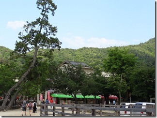 DSC00607