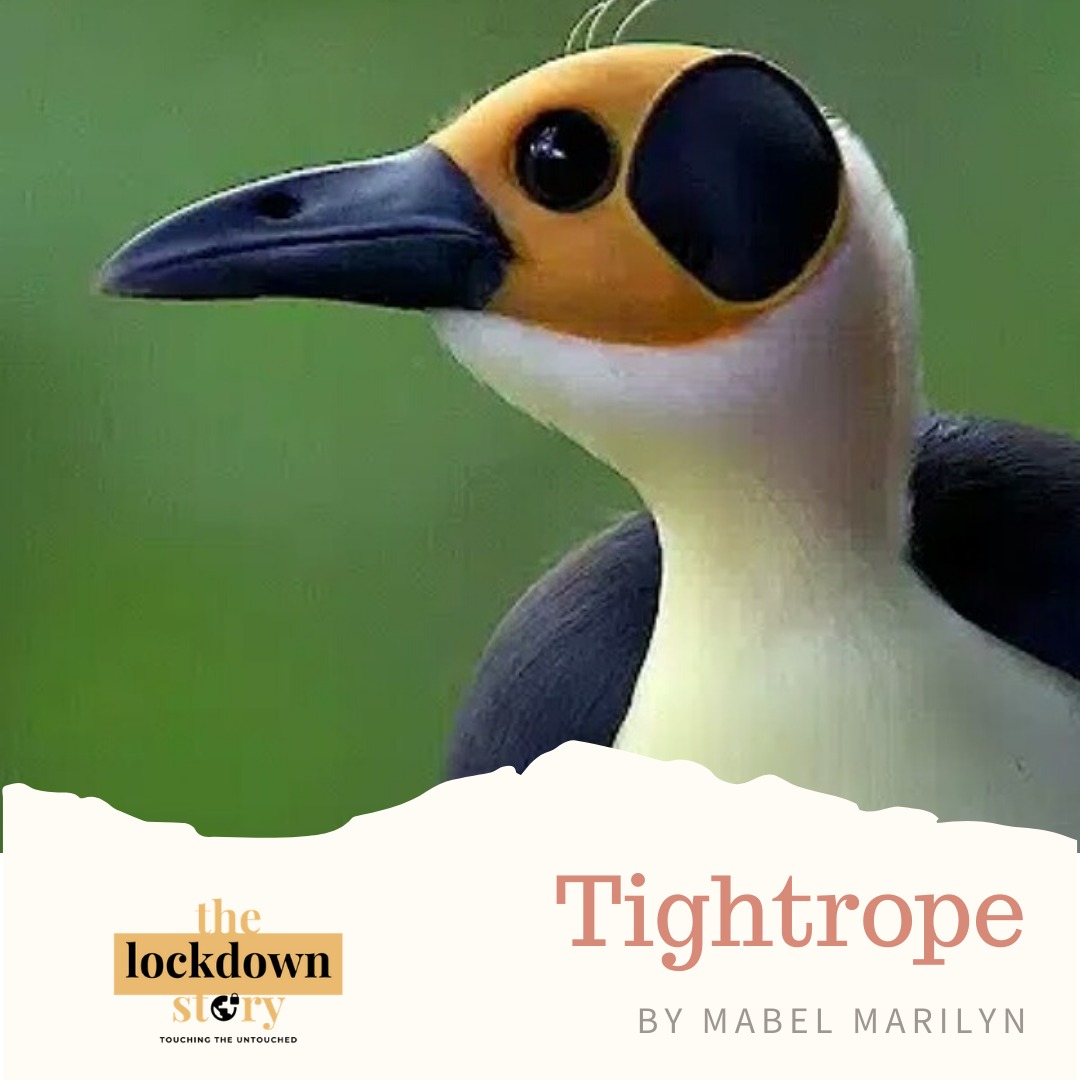 Picture of tightrope