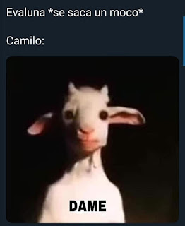 Los mejores memes de Camilo y Evaluna