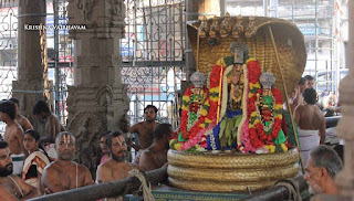 Sri Ranganatha Perumal, Pallava Utsavam, Sri Mannatha Perumal,Thirumanjanam, Purappadu,  Triplicane,  Purappadu, Thiruvallikeni, Utsavam, 