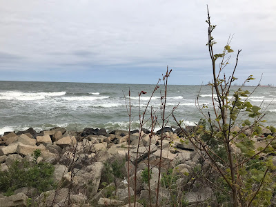 view of the baltic sea in westerplatte 