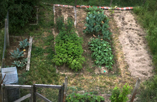 A view of the garden from the roof terrace