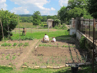 potager, vegetable growing, the good life,