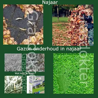 najaar onderhoud gazon