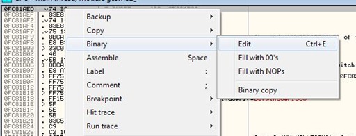 flash binary edit