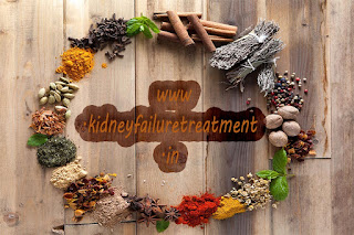 Ayurvedic medicine for CKD