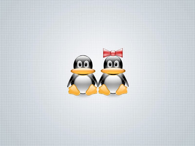 Hd Wallpaper Linux. Linux Wallpapers