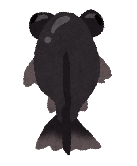 いろいろな金魚のイラスト かわいいフリー素材集 いらすとや いろいろな金魚のイラスト かわいいフリー素材集 いらすとや