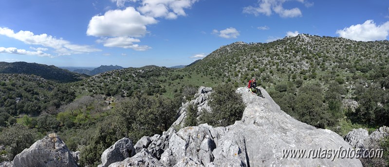 El Cintillo - Sierra Baja de Ubrique - Paso del Bombo - Ubrique - Cañada de los Pernales