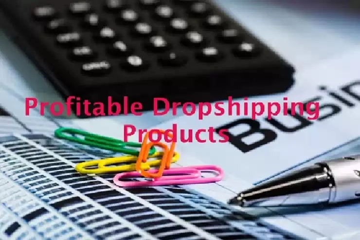 Profitable Dropshipping Products