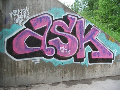 2007_ask_DSCF4359