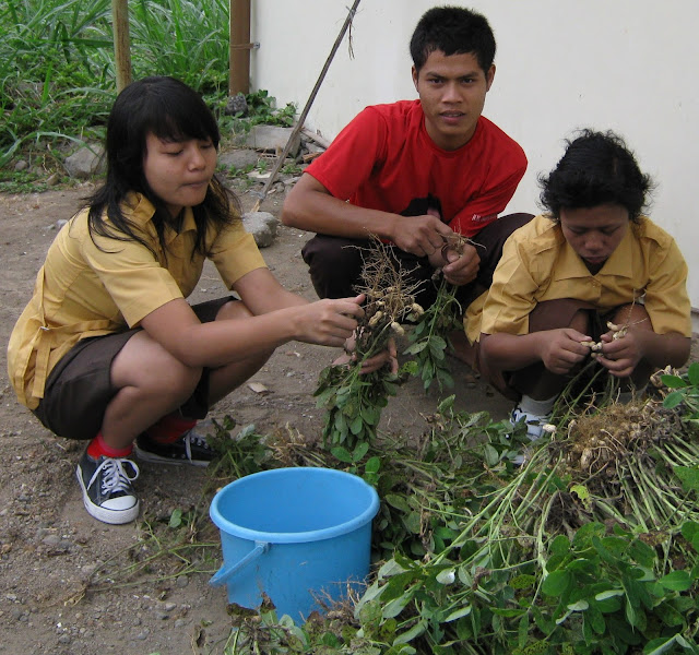 Kegiatan Pertanian