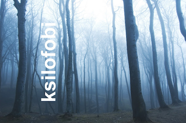 ksilofobi