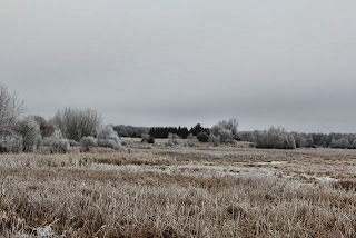 photo of frost, freeze, flurries?