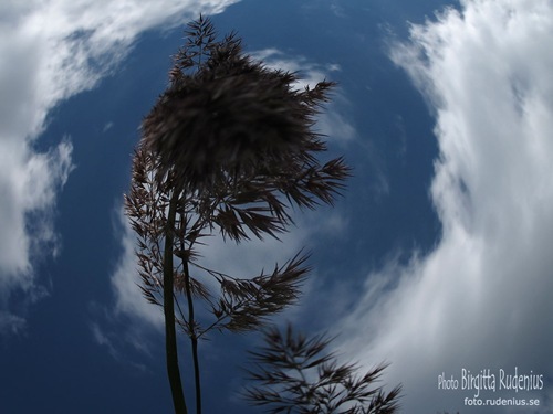 fisheye_20110716_sky2