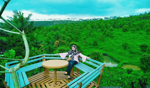 Villa-Bejong-songgon-banyuwangi