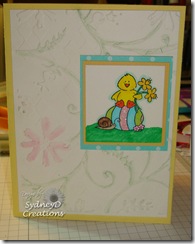 bunny2