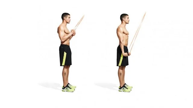 Triceps Pushdown