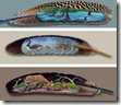 feather paintings cool Wallpapers (12)_desktop wallpapers