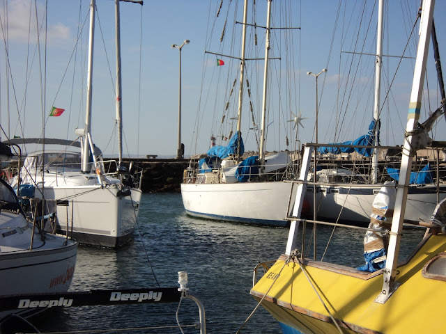 Crowded marina in Portugal