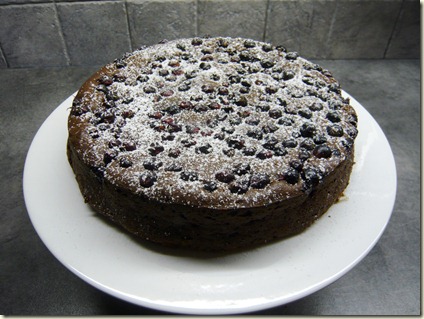 blackcurrants4
