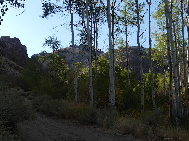 03: rocky hills behind trees