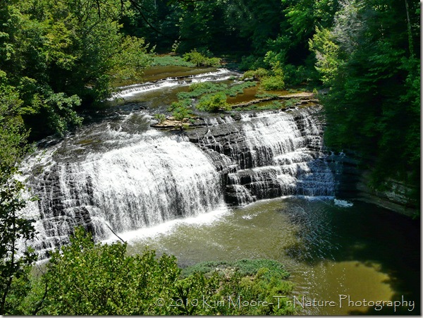 middlefalls