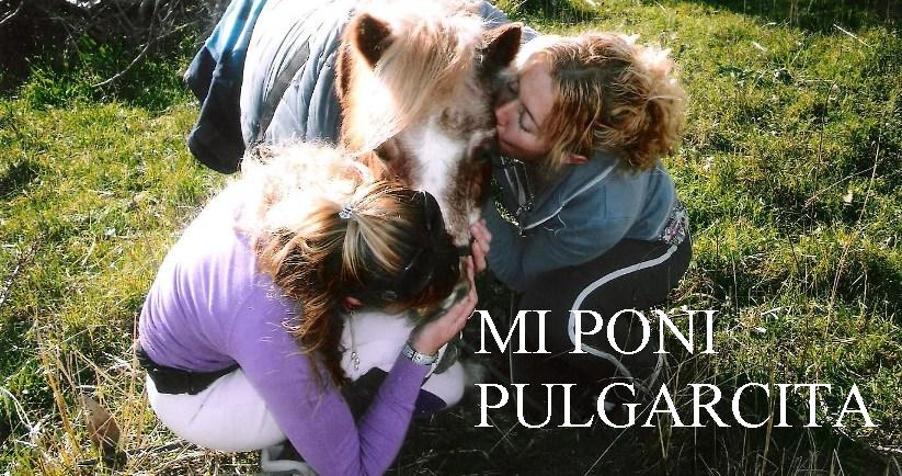 Laredocaballospulgarcita