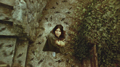 1974 La Posesion De Altair 2016 Movie Image 2