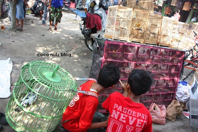 COCO NUTZ Jogjakarta 5th day Bakpia Pathok Pasar 