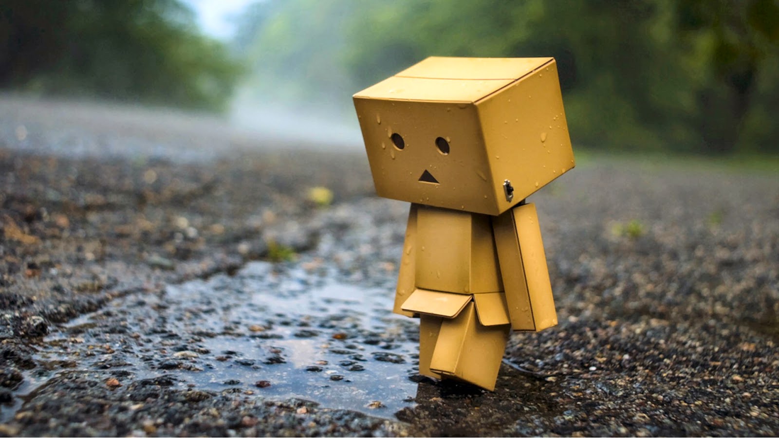 Gambar Boneka Danbo Sedih Galau Lucu Dan Senang Portal Informasi