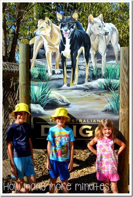 Billabong Sanctuary | How Many More Minutes?