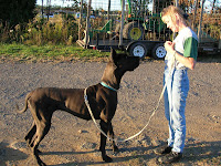 Christine e seu puppy - Skydive Orange, Virginia, USA