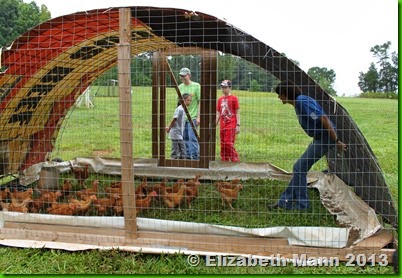 Chicken tractor