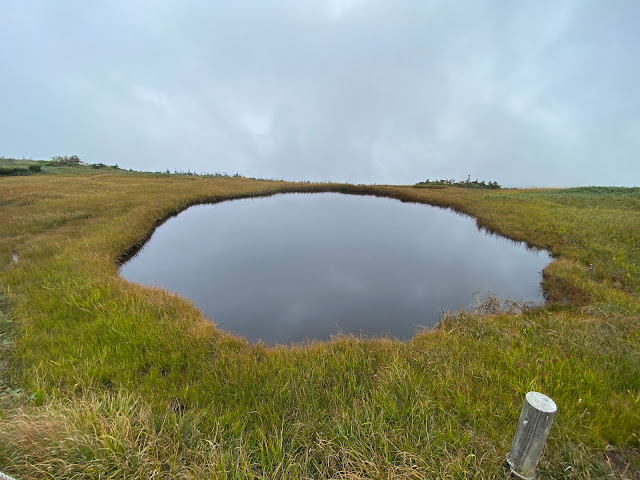 pond on Naeba