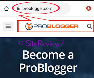 Problogger reviews
